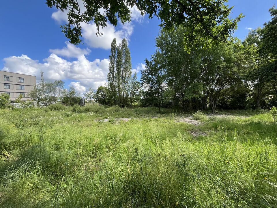 Vente  à Chantepie de 3000m² - Réf. n°4829 - PHOTO1_4829_1778589540.jpg