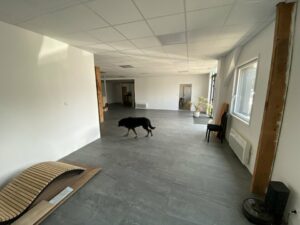 Vente Entrepôt – Local d&rsquo;activité à Pacé de 1100m² - Réf. n°4621 - PHOTO4_4621_1750344629.jpg