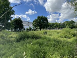 Vente  à Chantepie de 3000m² - Réf. n°4829 - PHOTO5_4829_1778589542.jpg
